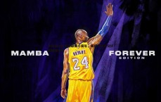 金年会-中国击剑俱乐部联赛十周年，荣耀与成长交织的璀璨征程