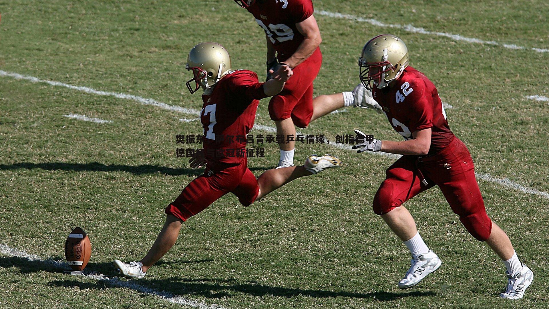樊振东,萨尔布吕肯承载乒乓情缘,剑指德甲德国杯与欧冠新征程