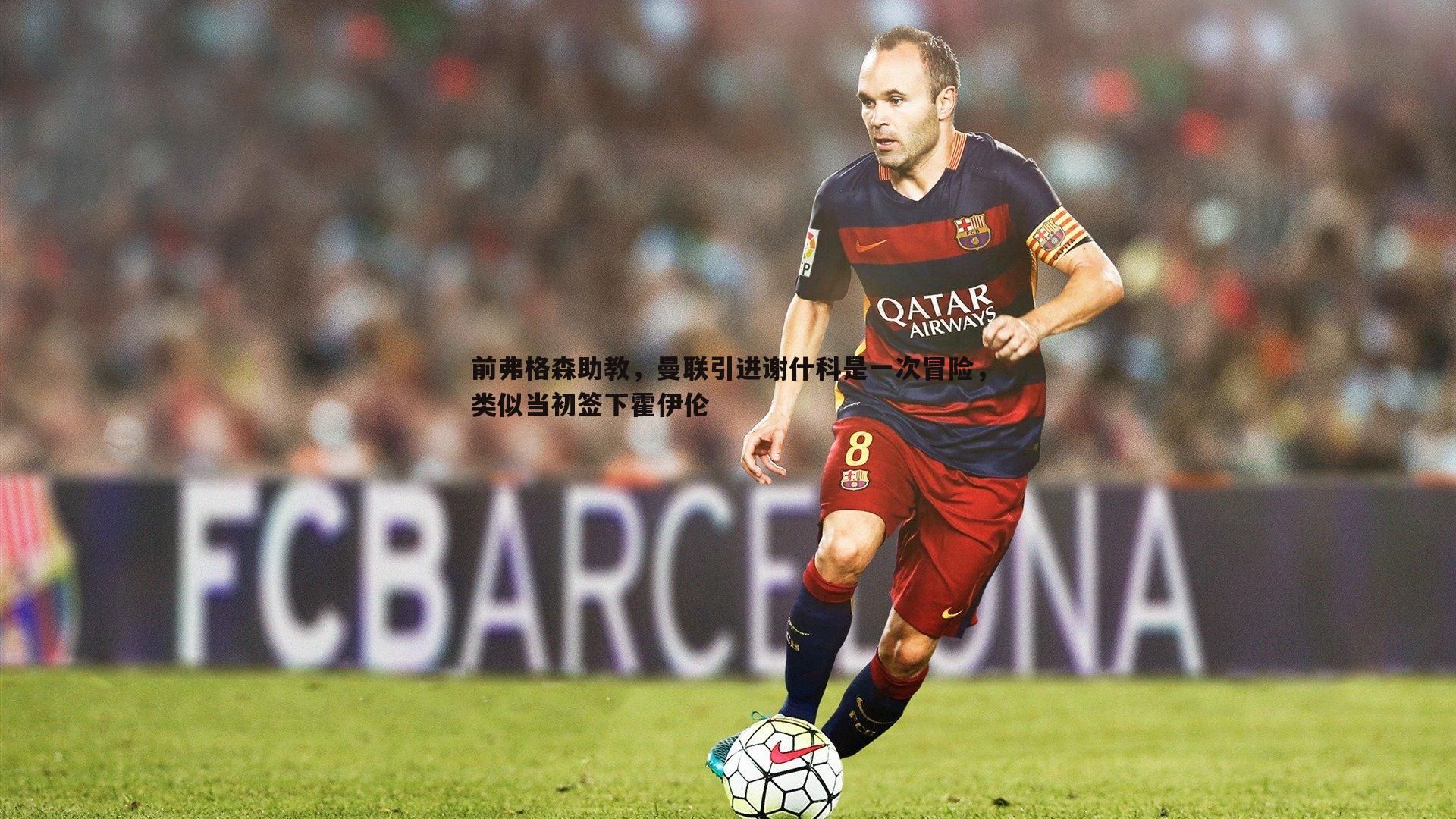 前弗格森助教，曼联引进谢什科是一次冒险，类似当初签下霍伊伦