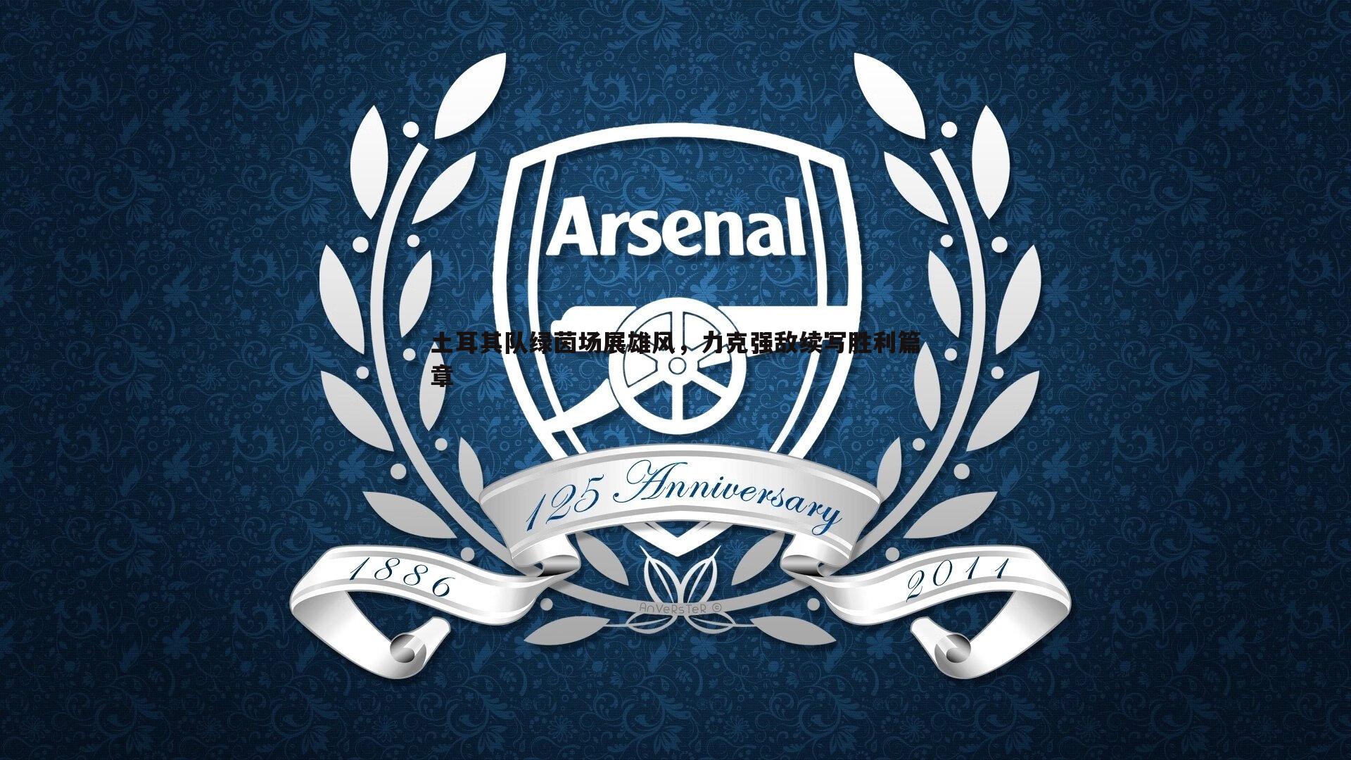 土耳其队绿茵场展雄风,力克强敌续写胜利篇章